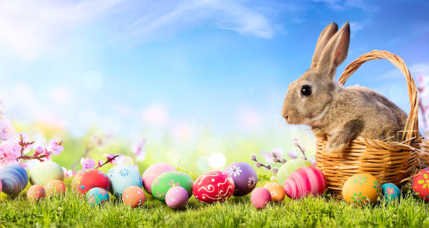 What to do this Easter Break: The Full Guide