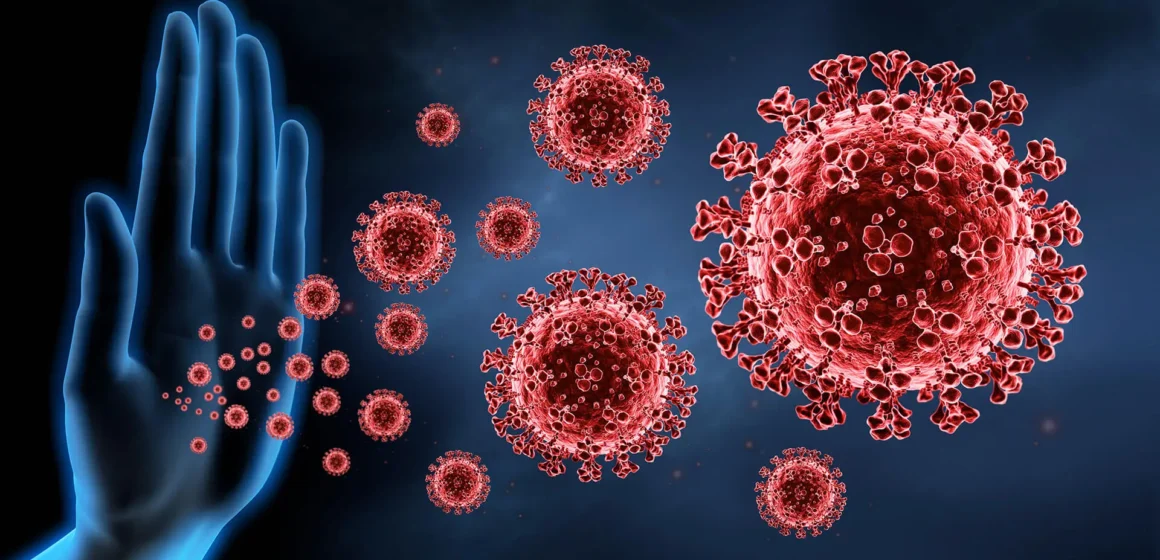 How to Look After Your Immune System