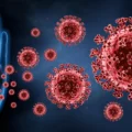 How to Look After Your Immune System