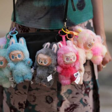 Pictures of a Labubu Collection