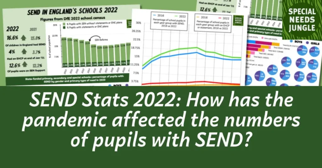 SEND pupils losing support