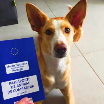 Eu-issued Pet passport