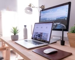 Blog Categories