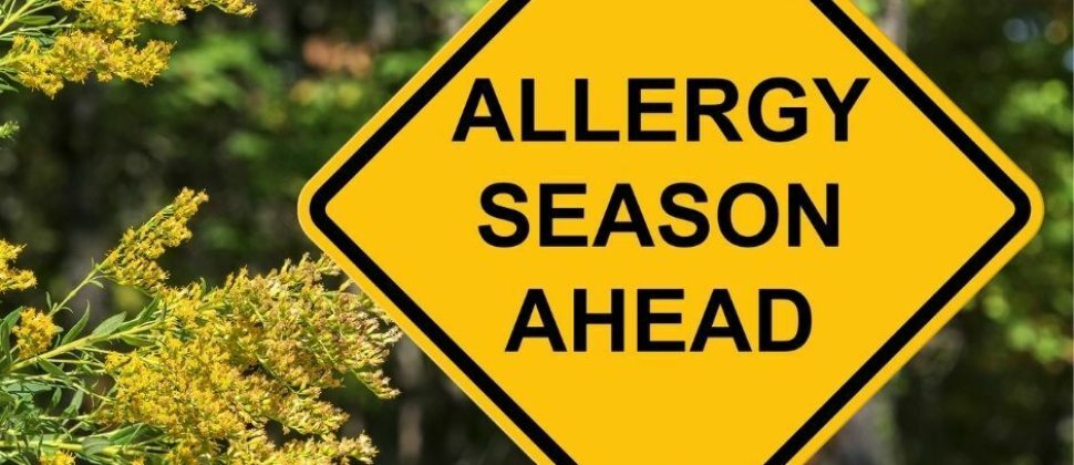 Natural remedies to combat the devastating pollen bomb and hay fever